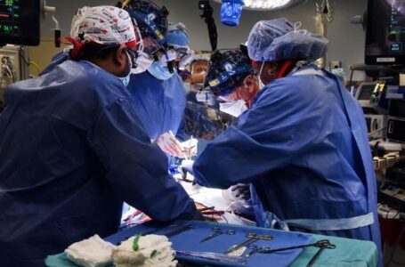 Homem recebe coração de porco em transplante pela primeira vez
