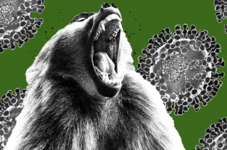 Varíola dos macacos: doença se espalha rápido e já chega a 21 países