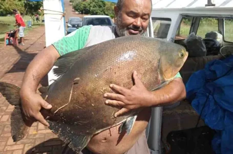 Em Borrazópolis, pescador pesca um tambaqui com quase 30 Kg