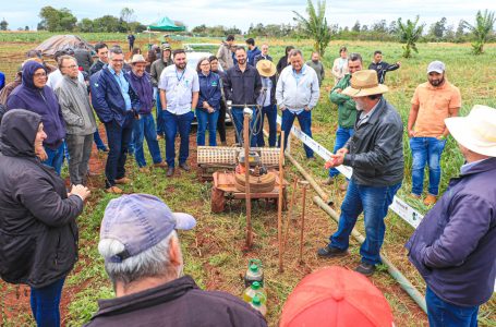 Arapongas recebe treinamento sobre produção sustentável de hortaliças