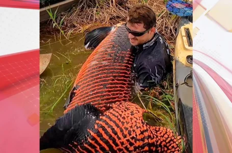 Pescador captura pirarucu com mais de 2 metros e 130 quilos