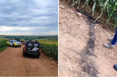 Moradores encontram corpo carbonizado em estrada rural no Paraná