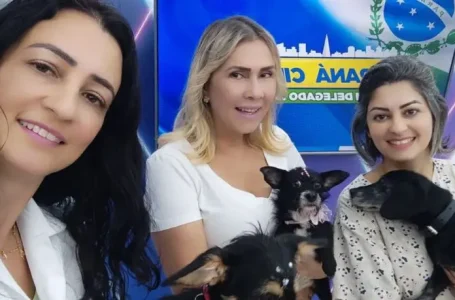 Veterinária de Maringá resgata 18 cães do Rio Grande do Sul
