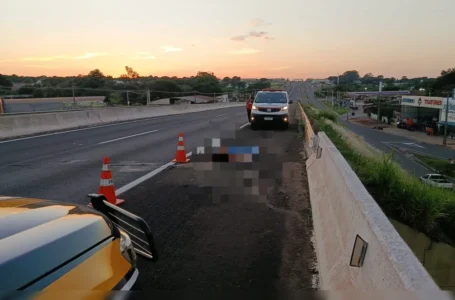 Pedestre morre atropelado no acostamento da BR-376