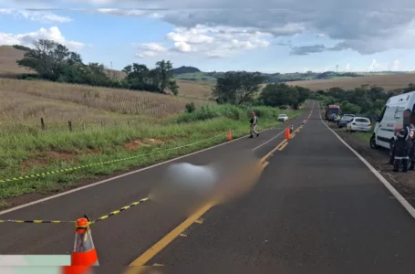 Motorista morre atropelado pelo próprio caminhão após pular de cabine no Paraná