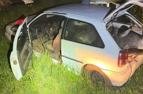 Polícia encontra bois furtados espremidos dentro de carro
